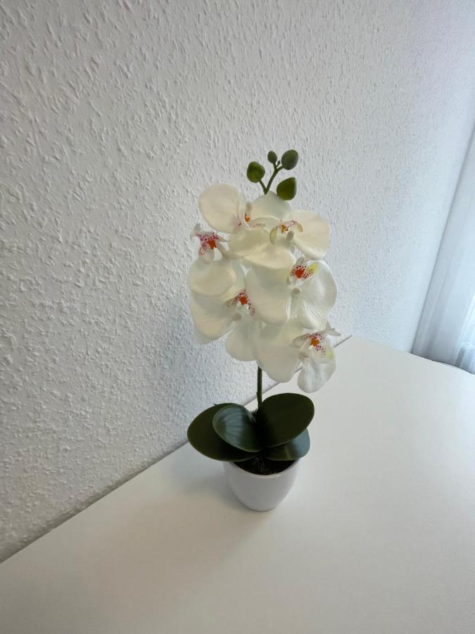 Lucky Stays Ls07 - Vollausstattung - Zentrum - Aufzug - Grosse Kueche - 2 Zimmer - Smart-Tv マクデブルク エクステリア 写真