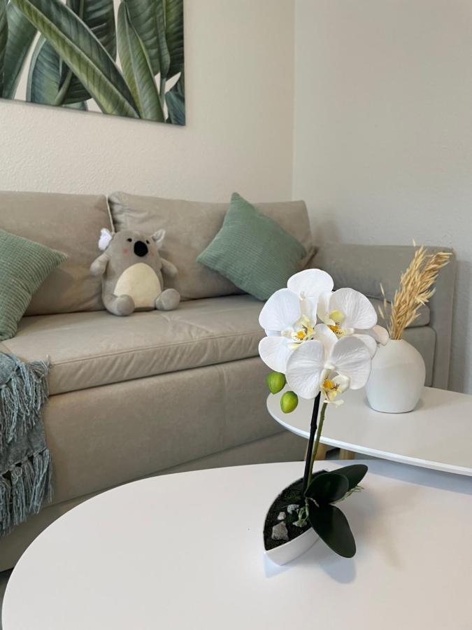 Lucky Stays Ls07 - Vollausstattung - Zentrum - Aufzug - Grosse Kueche - 2 Zimmer - Smart-Tv マクデブルク エクステリア 写真